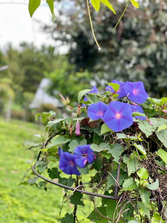 Tip House Villa Khao Kho Dış mekan fotoğraf