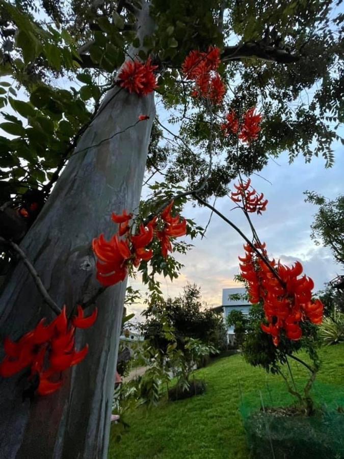 Tip House Villa Khao Kho Dış mekan fotoğraf