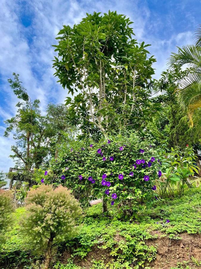Tip House Villa Khao Kho Dış mekan fotoğraf